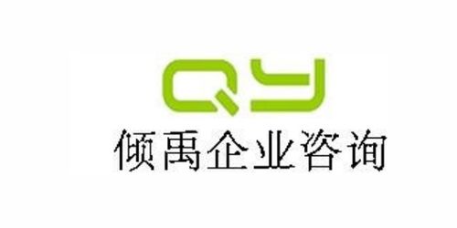 2021 ICS驗廠 選擇上海傾禹企業(yè)管理咨詢，專業(yè)信息技術(shù)咨詢服務(wù)助您一臂之力
